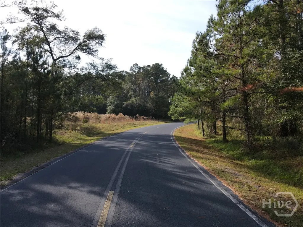 Lot 45 NE Marsh Way W Townsend GA 31331