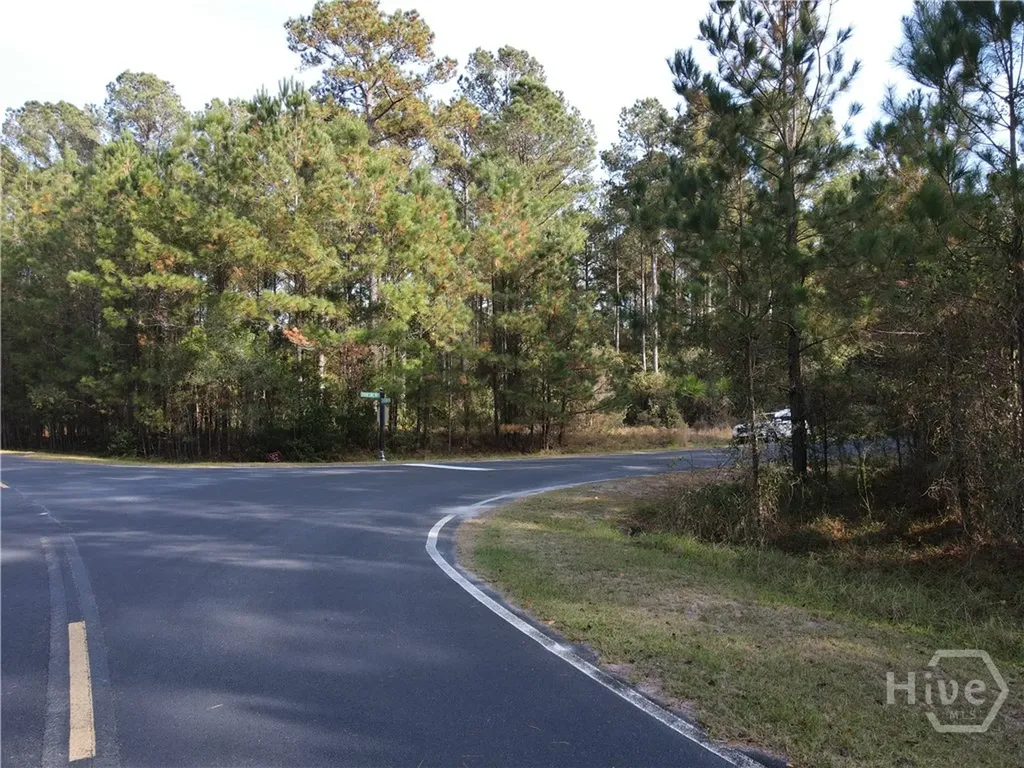 Lot 45 NE Marsh Way W Townsend GA 31331