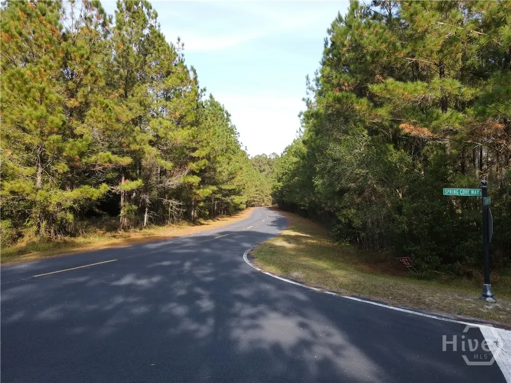 Lot 45 NE Marsh Way W Townsend GA 31331