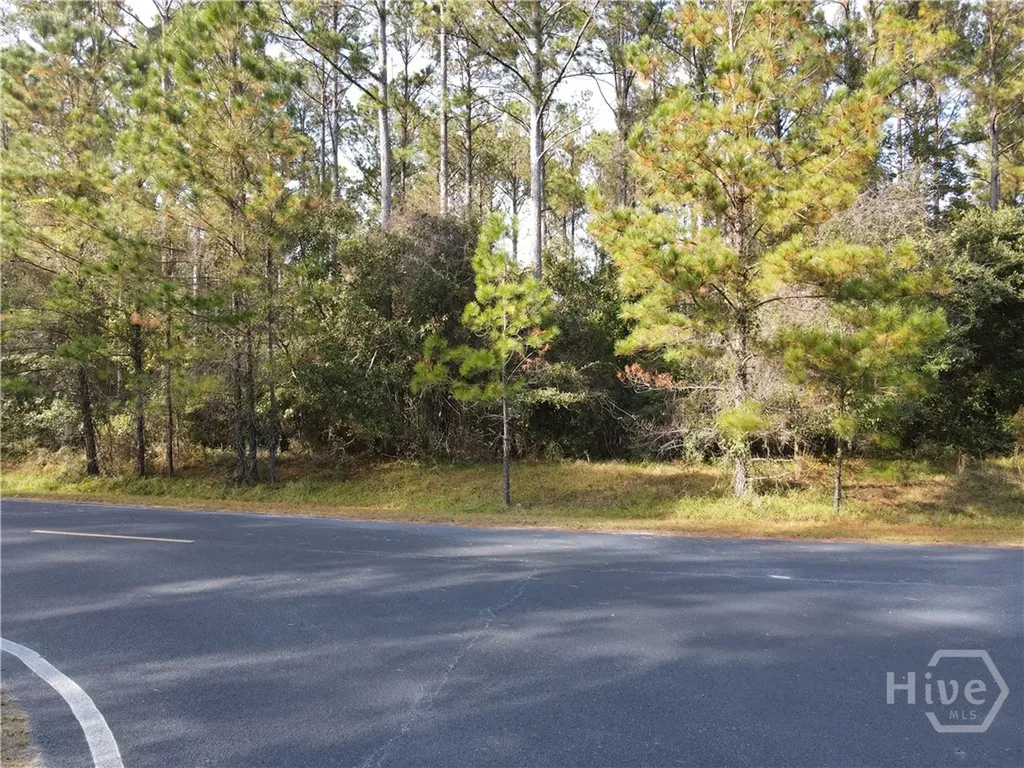 Lot 45 NE Marsh Way W Townsend GA 31331