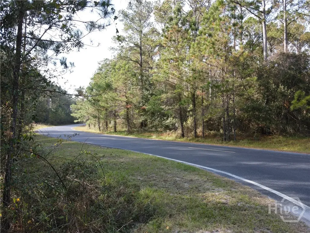 Lot 45 NE Marsh Way W Townsend GA 31331