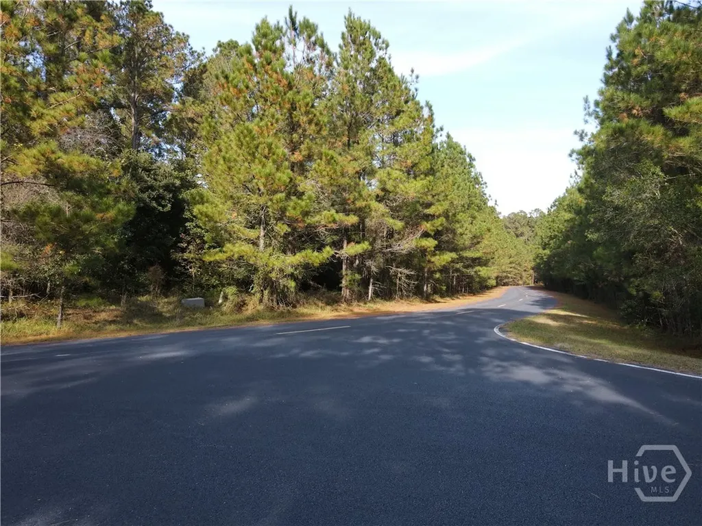Lot 45 NE Marsh Way W Townsend GA 31331