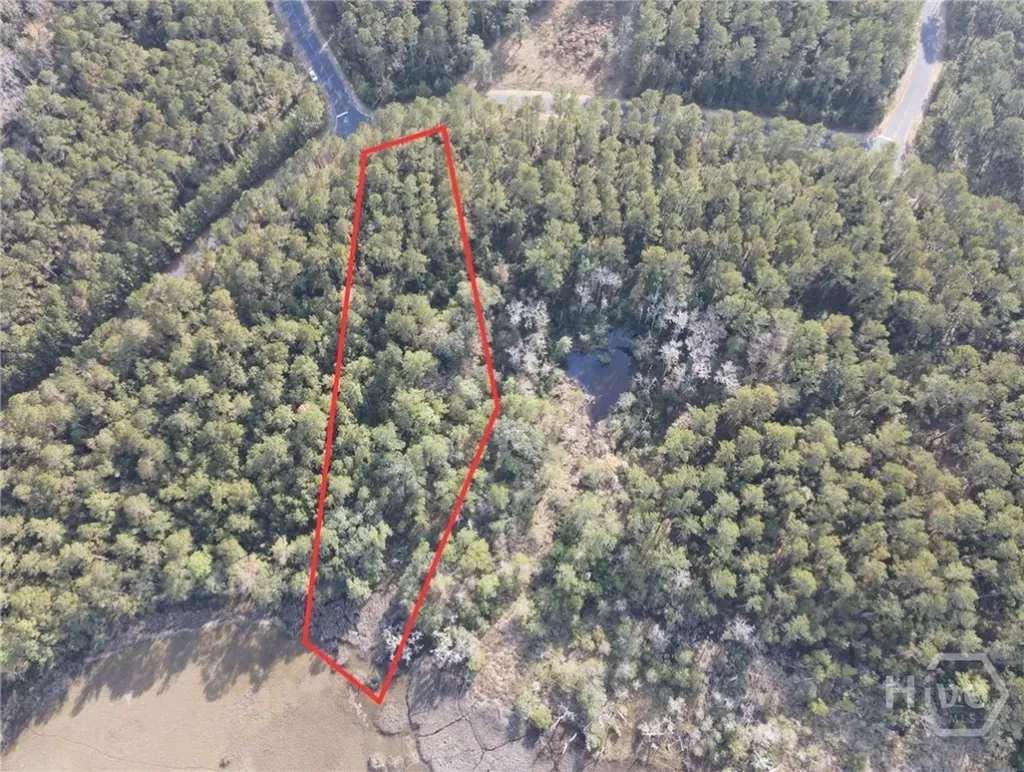 Lot 45 NE Marsh Way W Townsend GA 31331