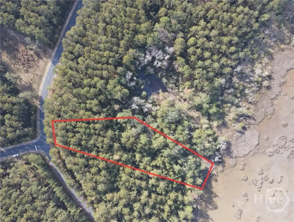 Lot 45 NE Marsh Way W Townsend GA 31331