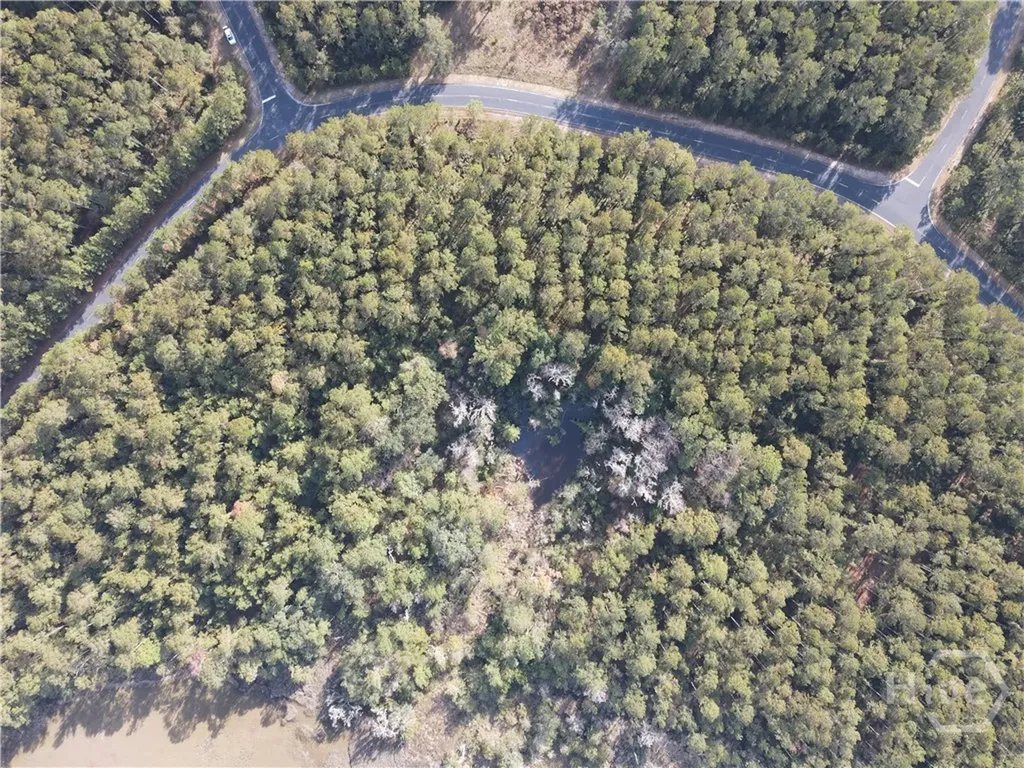 Lot 45 NE Marsh Way W Townsend GA 31331