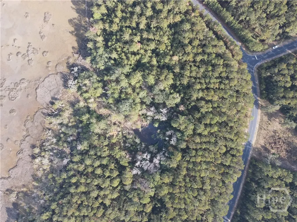 Lot 45 NE Marsh Way W Townsend GA 31331