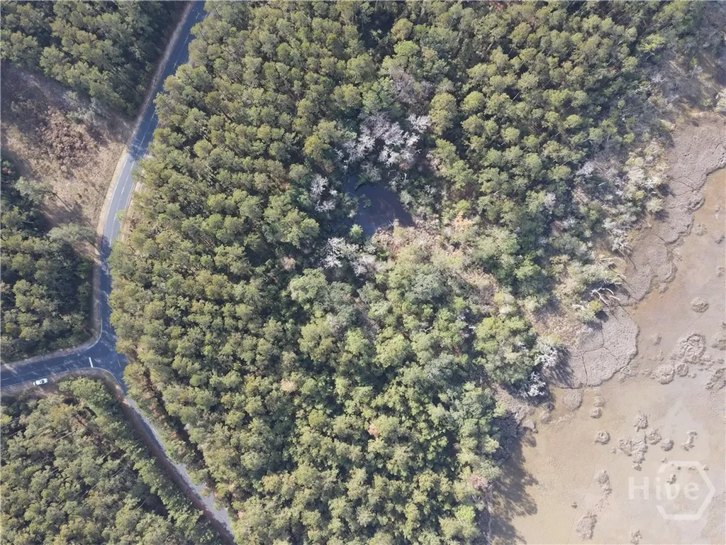 Lot 45 NE Marsh Way W Townsend GA 31331