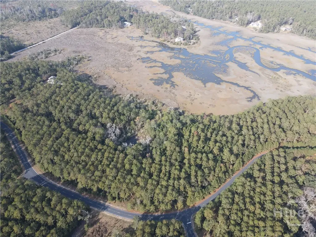 Lot 45 NE Marsh Way W Townsend GA 31331