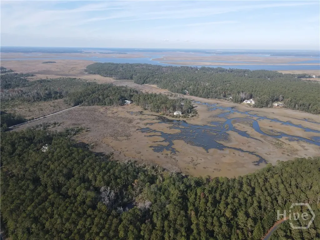 Lot 45 NE Marsh Way W Townsend GA 31331