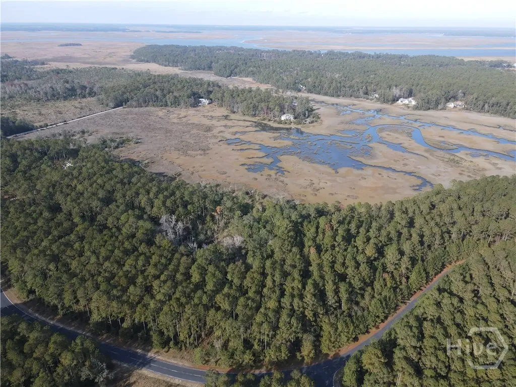 Lot 45 NE Marsh Way W Townsend GA 31331
