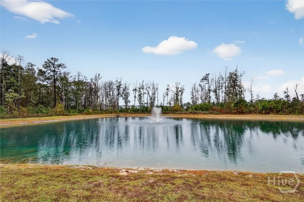 312 Lillian Street Rincon GA 31326
