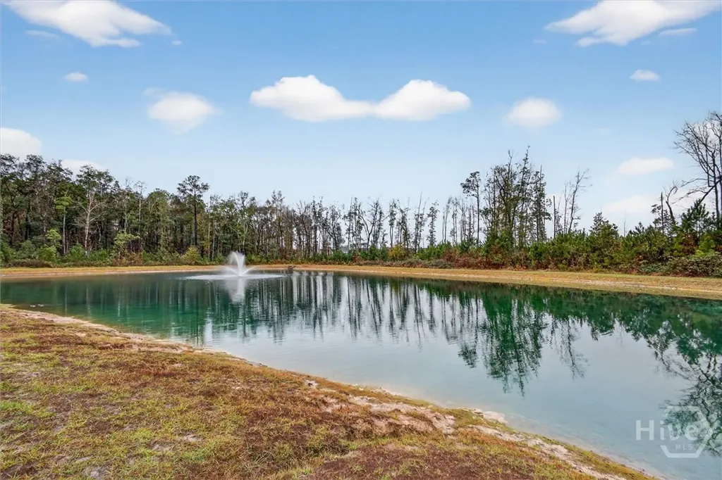 312 Lillian Street Rincon GA 31326