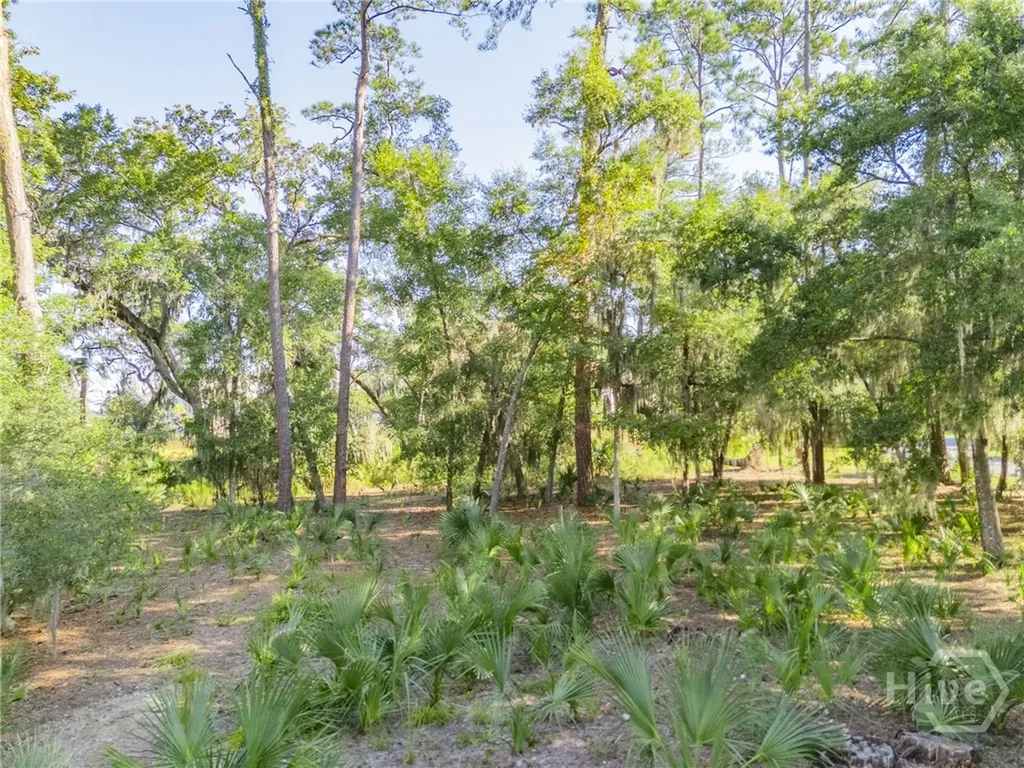112 Seven Mile Savannah GA 31411
