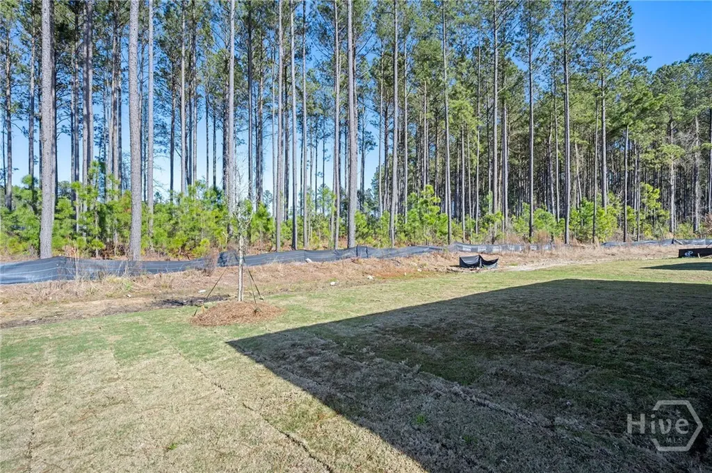 51 Lilac Way Richmond Hill GA 31324