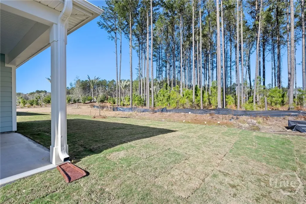 51 Lilac Way Richmond Hill GA 31324