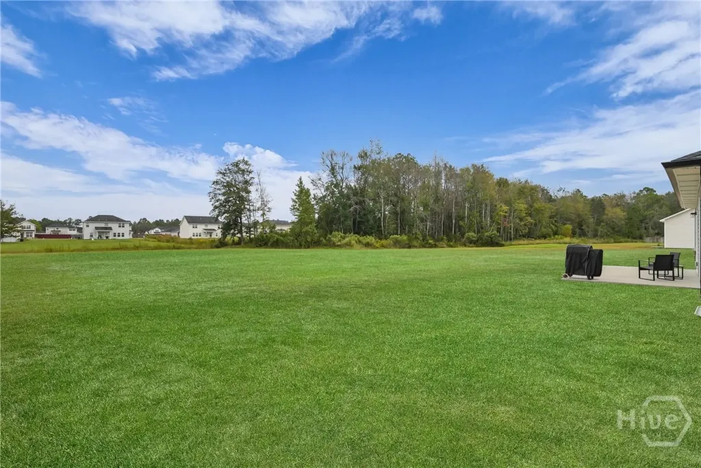 142 Sunflower Circle NE Ludowici GA 31316