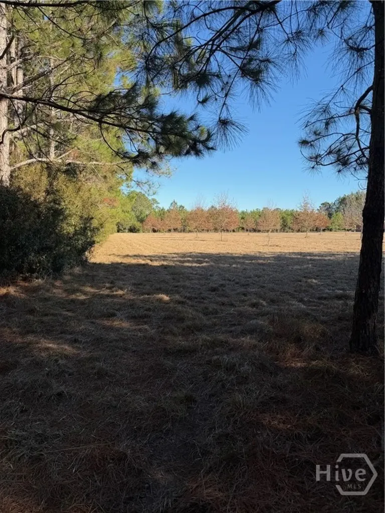 3C Mccall Road Springfield GA 31329