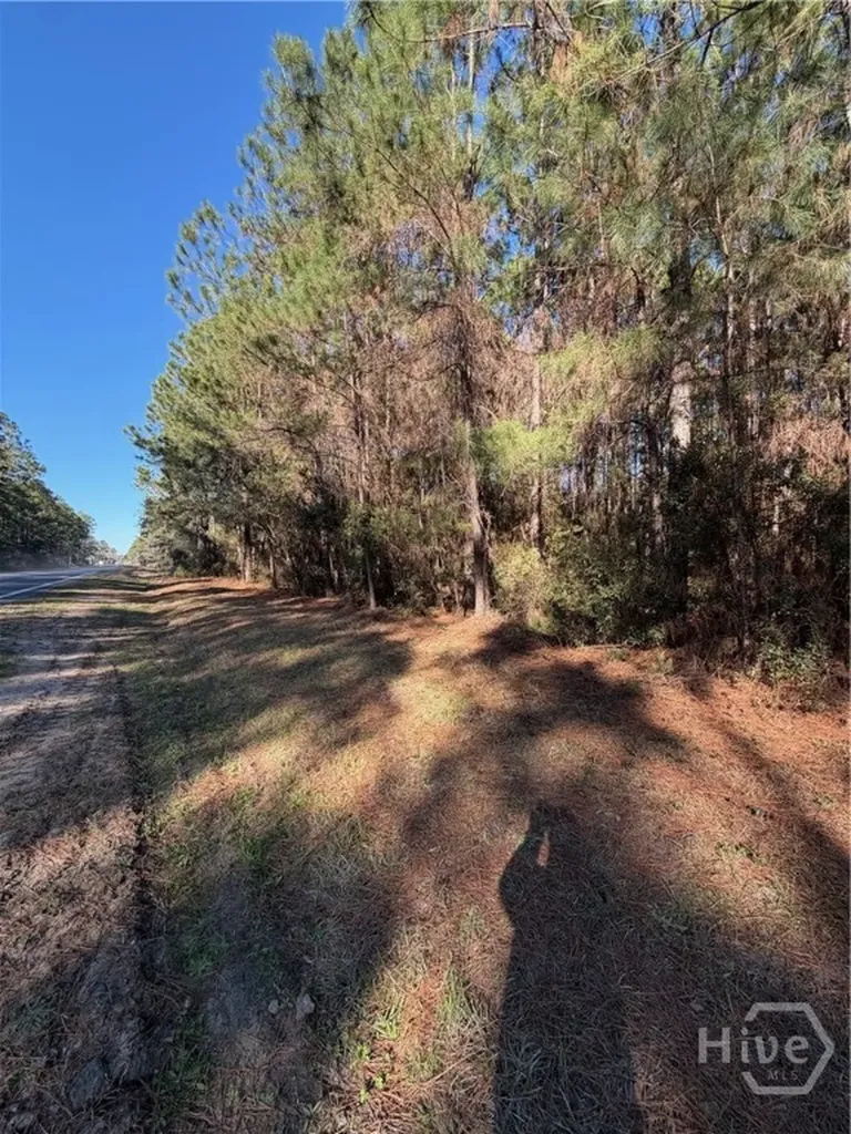 3C Mccall Road Springfield GA 31329