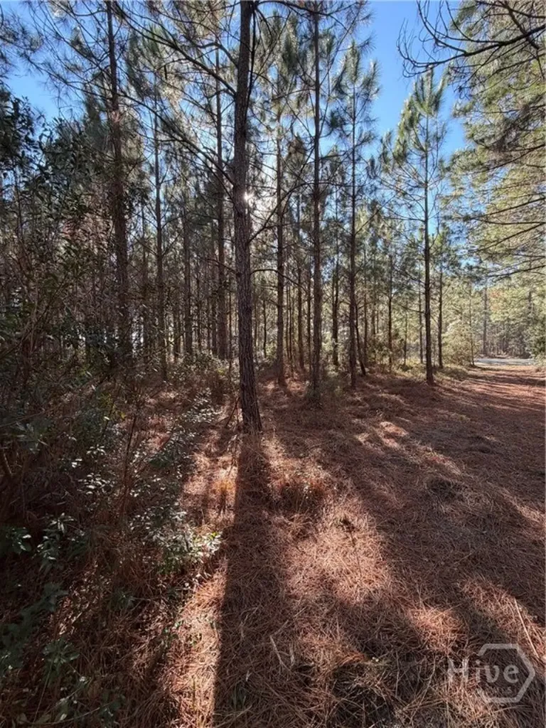3C Mccall Road Springfield GA 31329