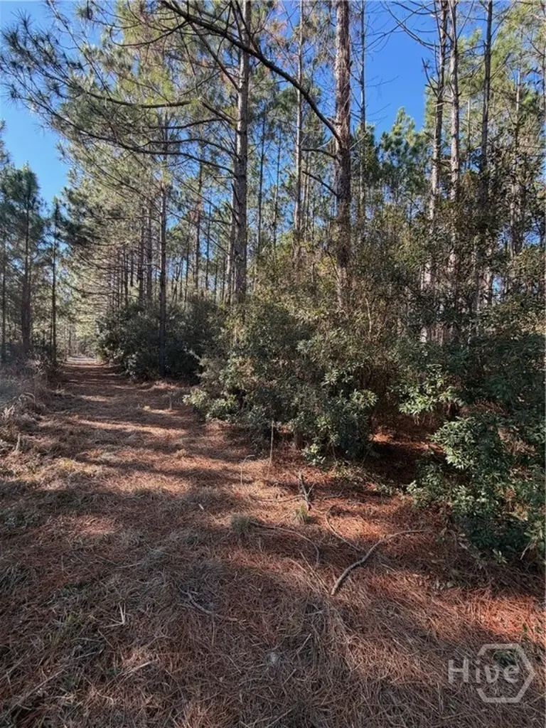 3C Mccall Road Springfield GA 31329