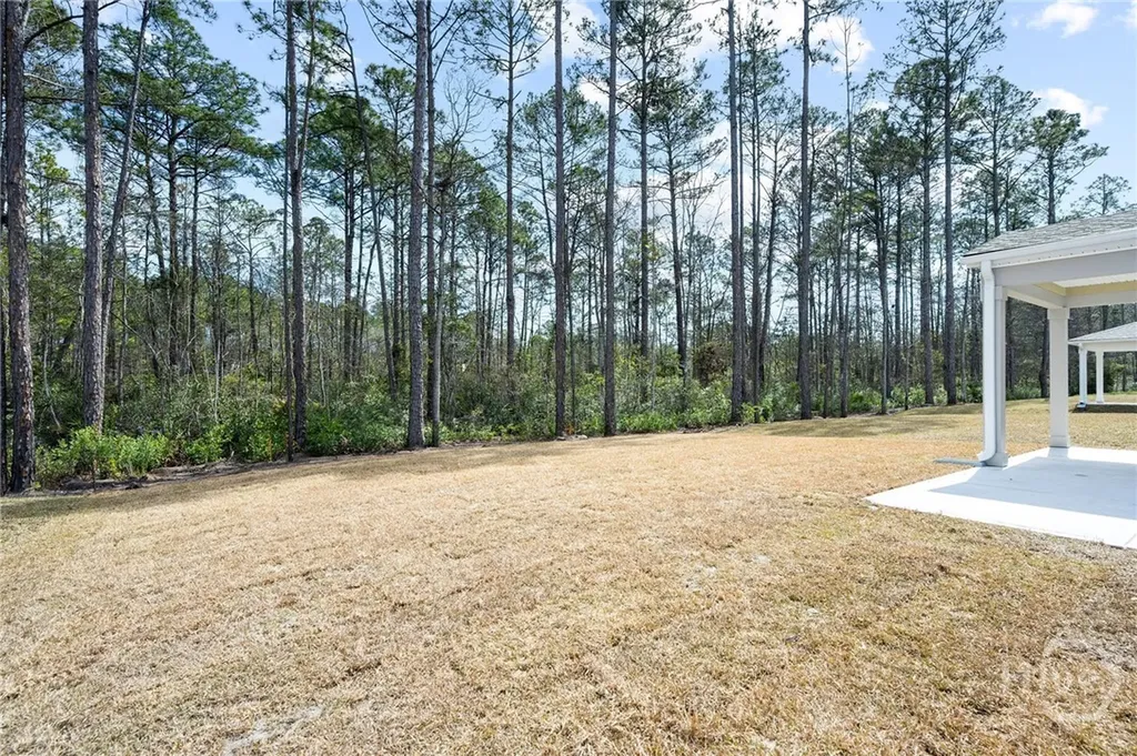 462 Monterey Loop Richmond Hill GA 31324