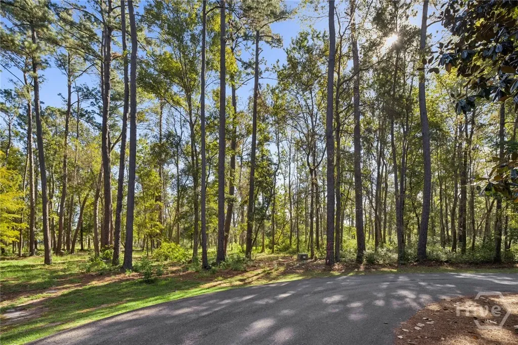 679 Myrtle Grove Lane Richmond Hill GA 31324