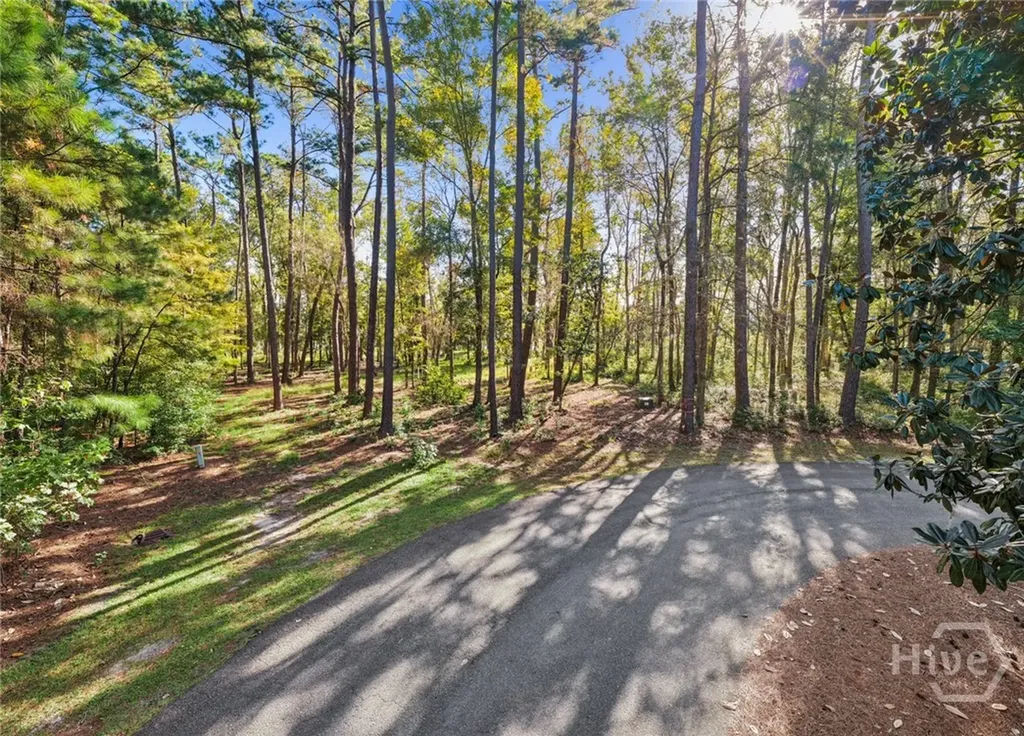679 Myrtle Grove Lane Richmond Hill GA 31324