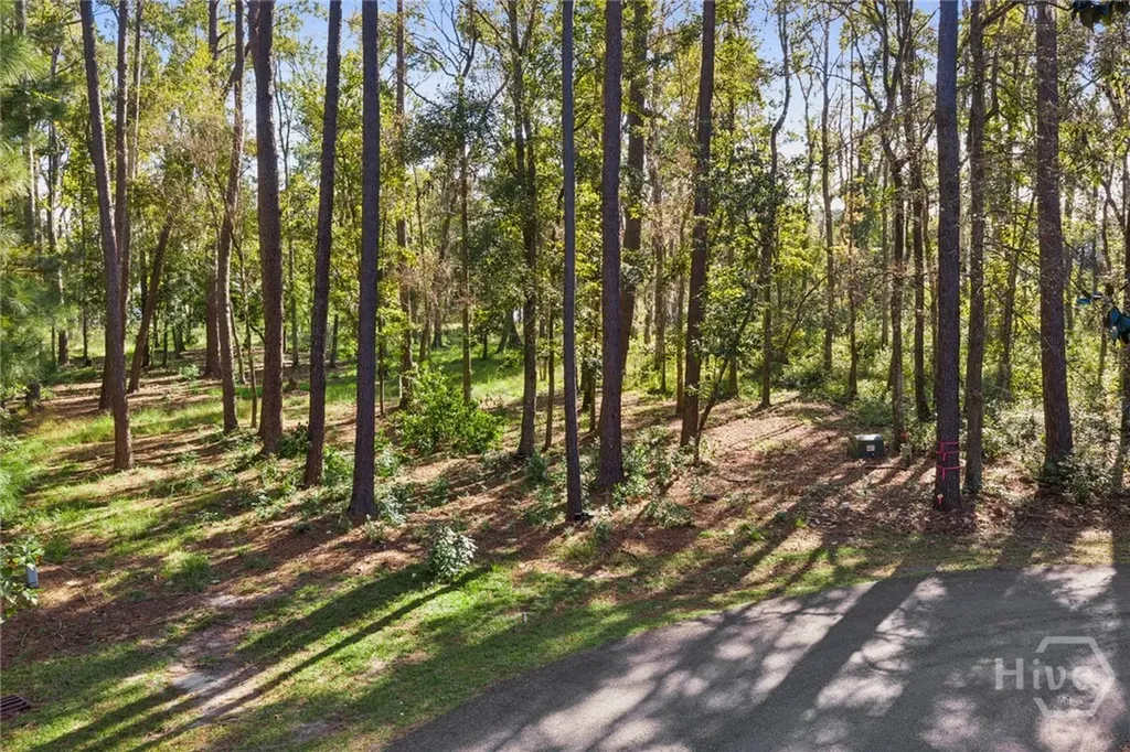 679 Myrtle Grove Lane Richmond Hill GA 31324