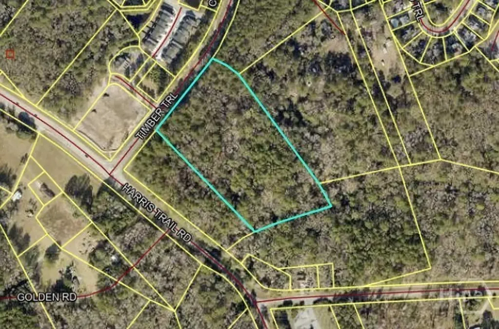 0 Timber Trail Richmond Hill GA 31324
