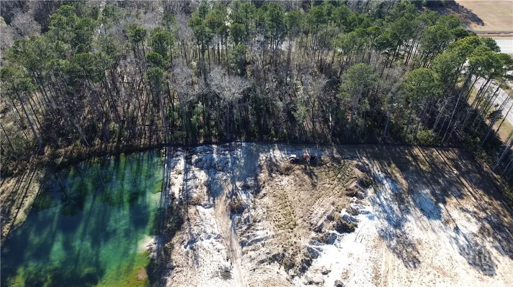0 Timber Trail Richmond Hill GA 31324