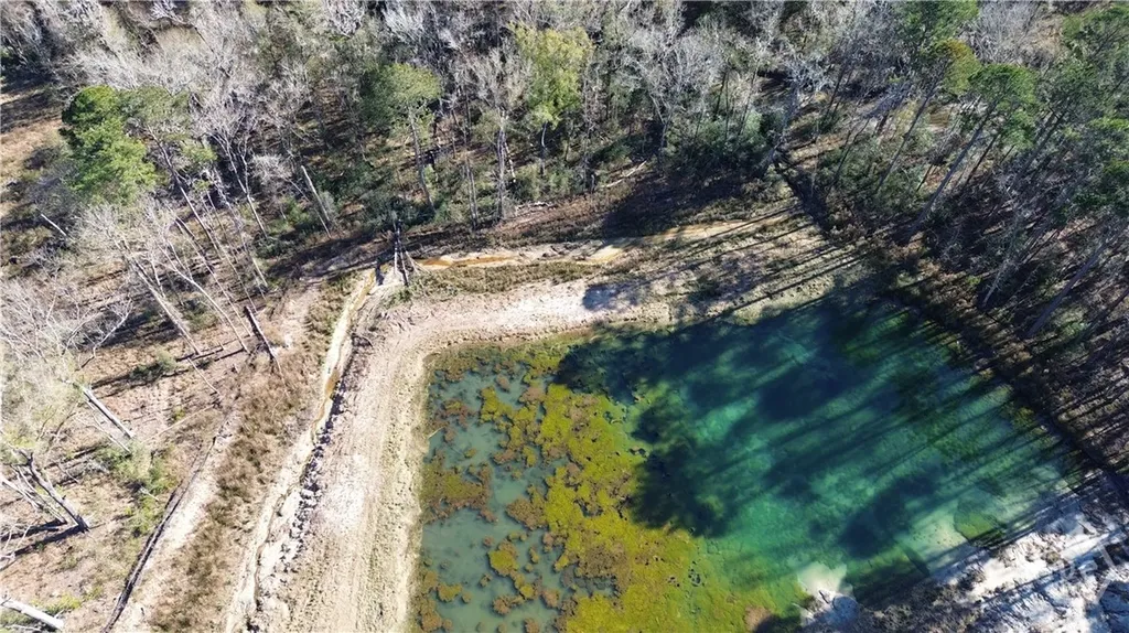 0 Timber Trail Richmond Hill GA 31324