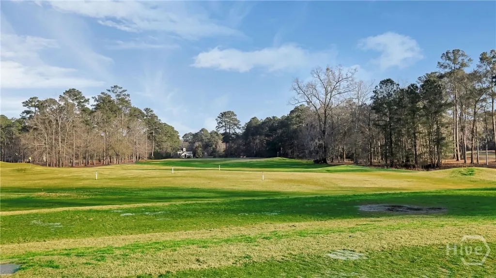 9 Wood Duck Drive Savannah GA 31405