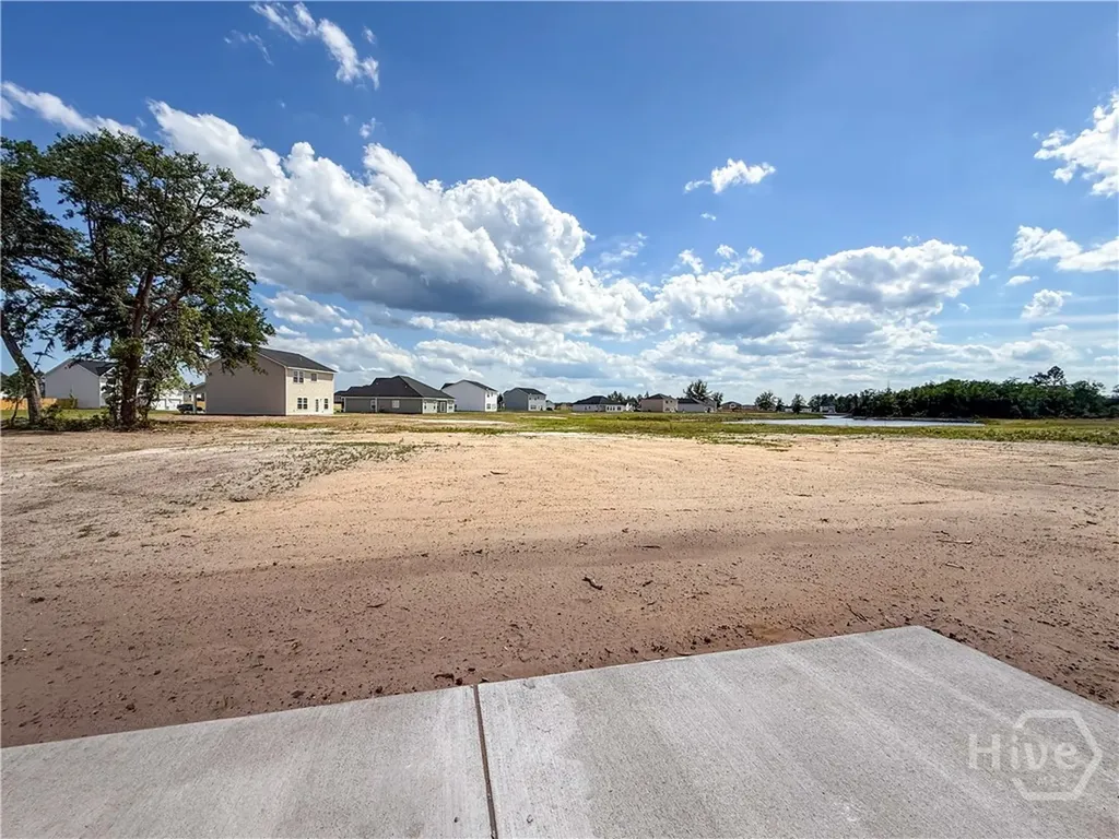 393 Buckhead Loop SE Ludowici GA 31301