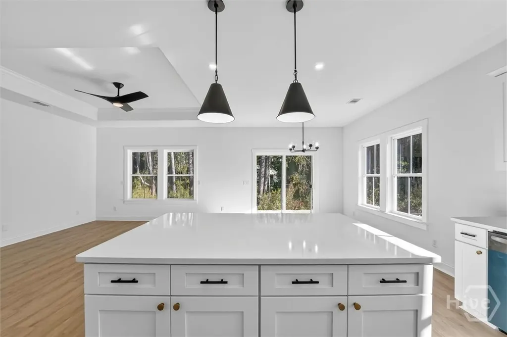 1072 Cottage Way Darien GA 31305