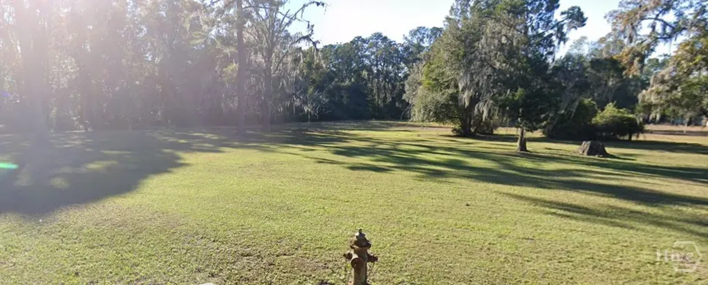 7.22 Ac Dunlevie Road Allenhurst GA 31301