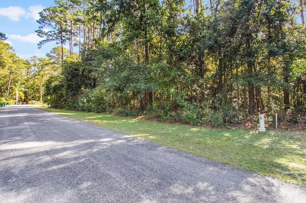 Lot 125 Sapelo Circle NE Townsend GA 31331