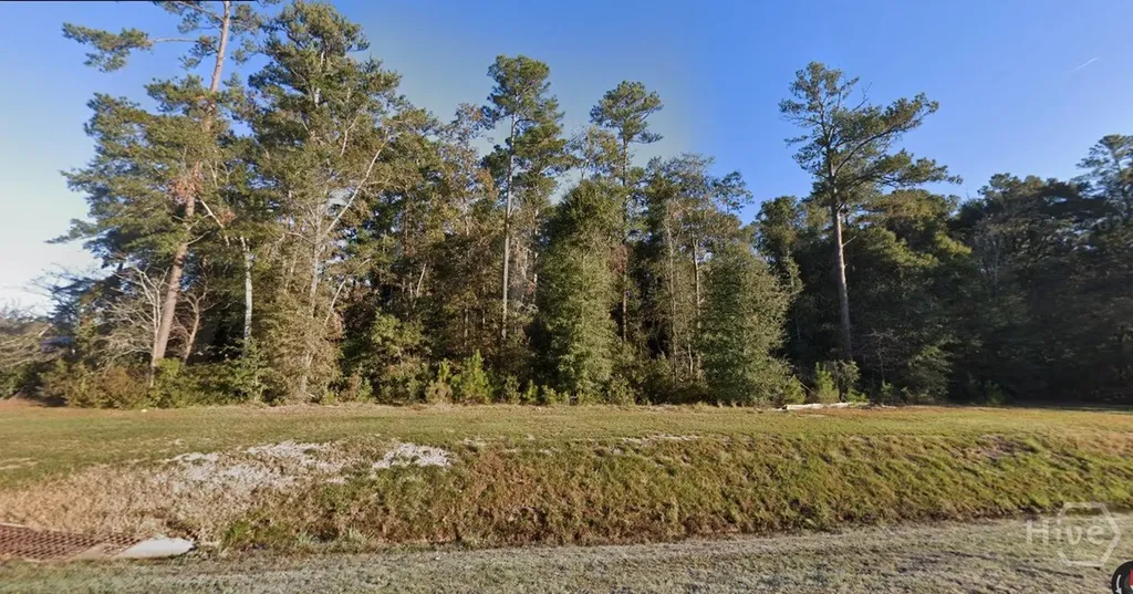 0 Highway 21 Springfield GA 31329