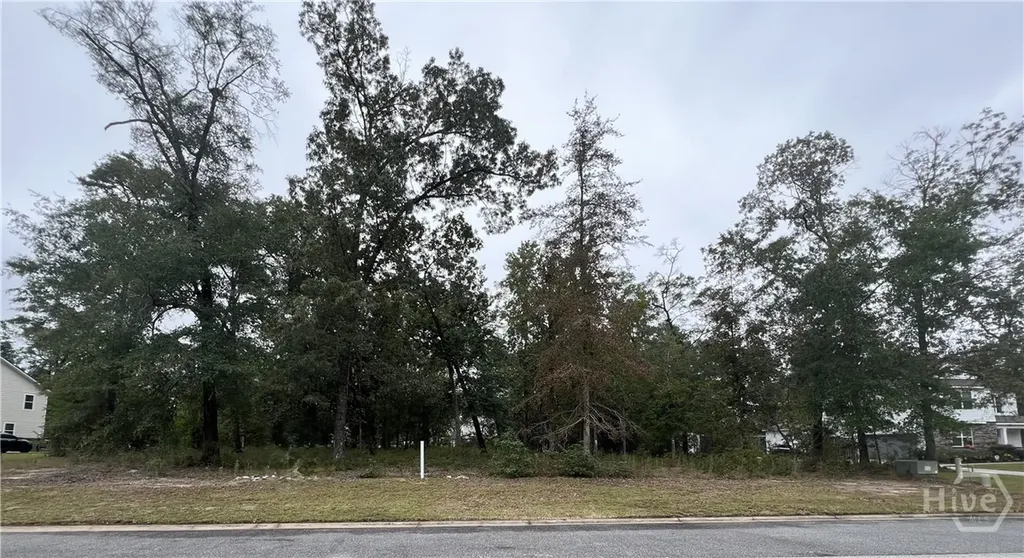 104 Speir Court Rincon GA 31326