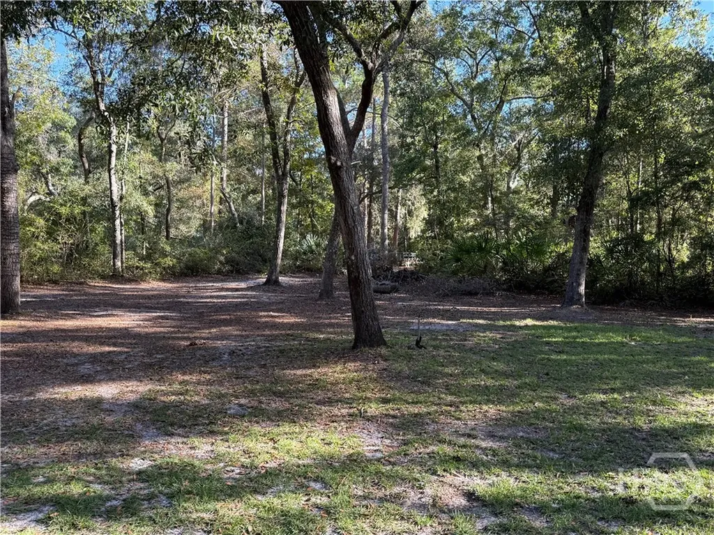 105 Shad Road Bloomingdale GA 31302