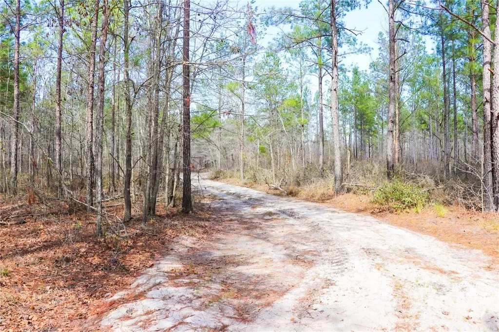 0 Tillman Eason Road Claxton GA 30417