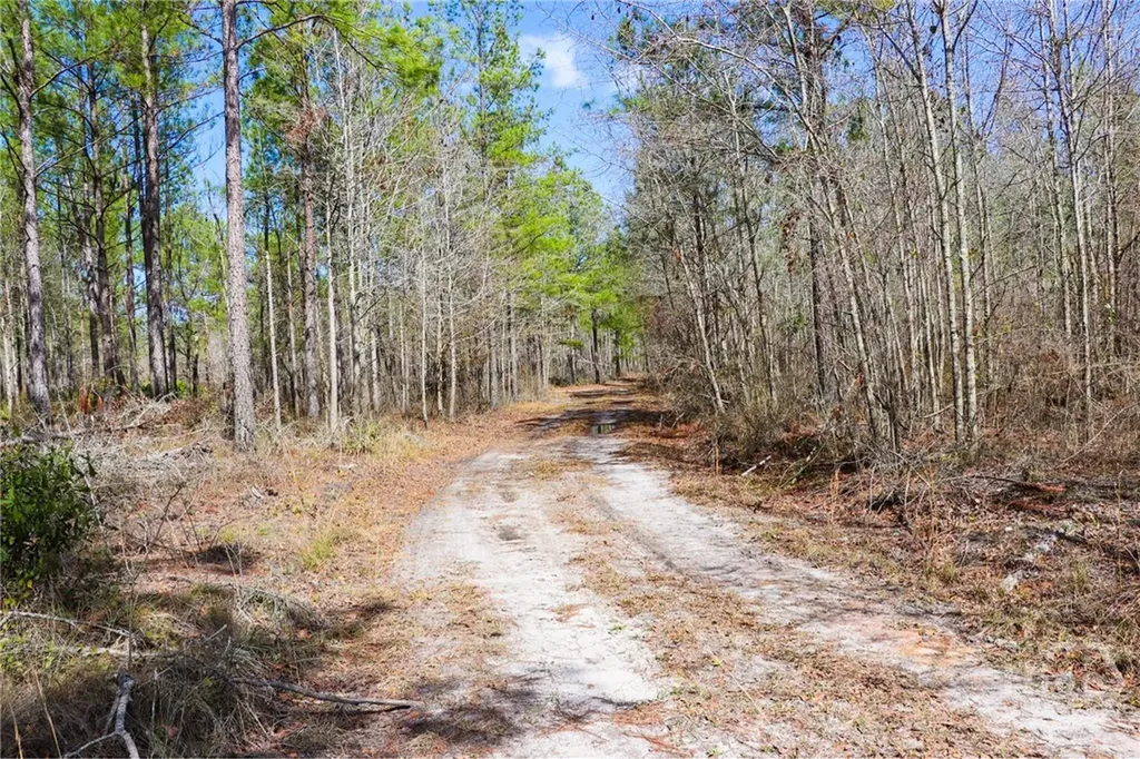 0 Tillman Eason Road Claxton GA 30417