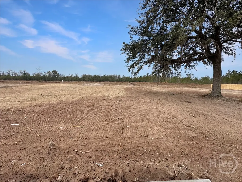 625 Deer Meadow Way SE Allenhurst GA 31301