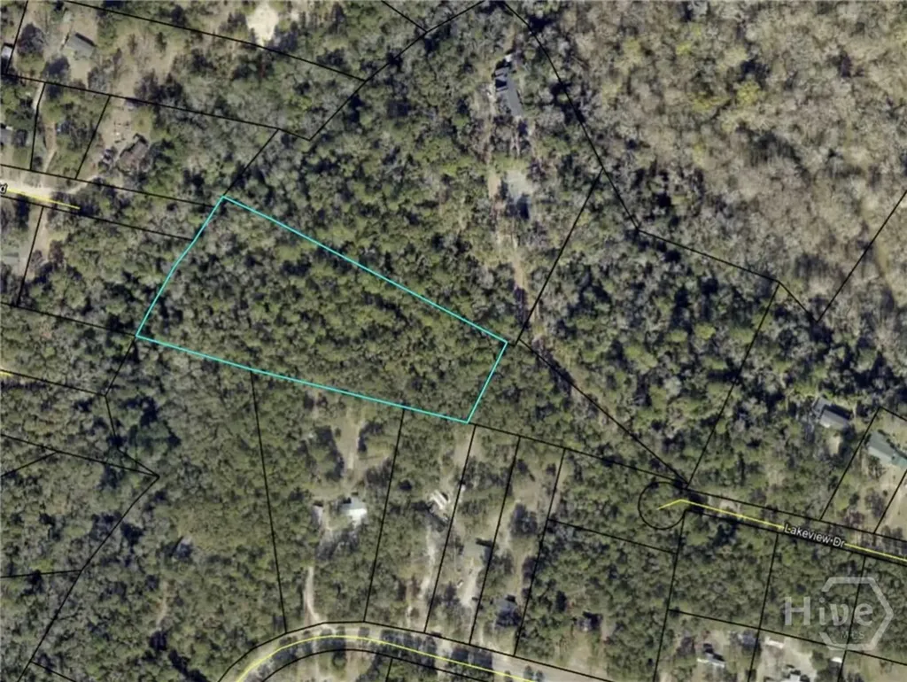 0000 Lakeview Drive Jesup GA 31546
