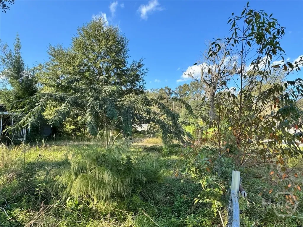251 Oak Drive Bloomingdale GA 31302