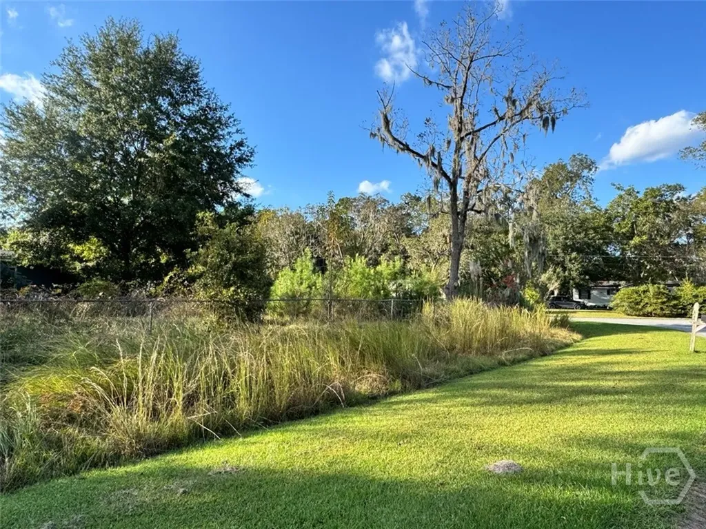 251 Oak Drive Bloomingdale GA 31302