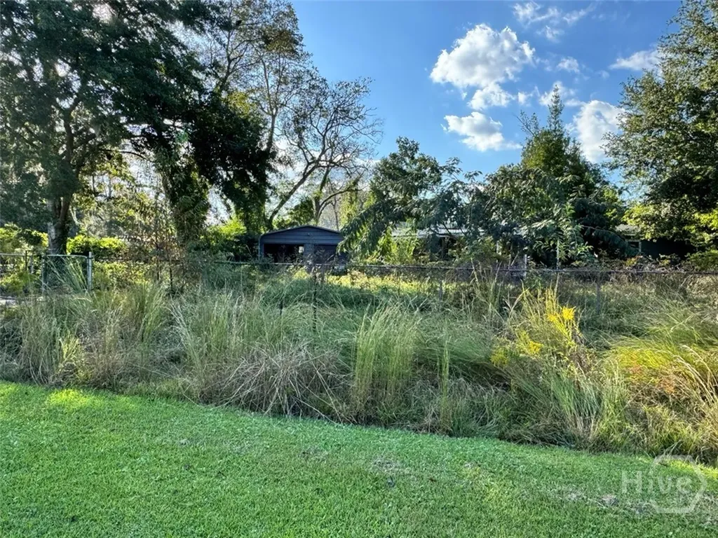 251 Oak Drive Bloomingdale GA 31302