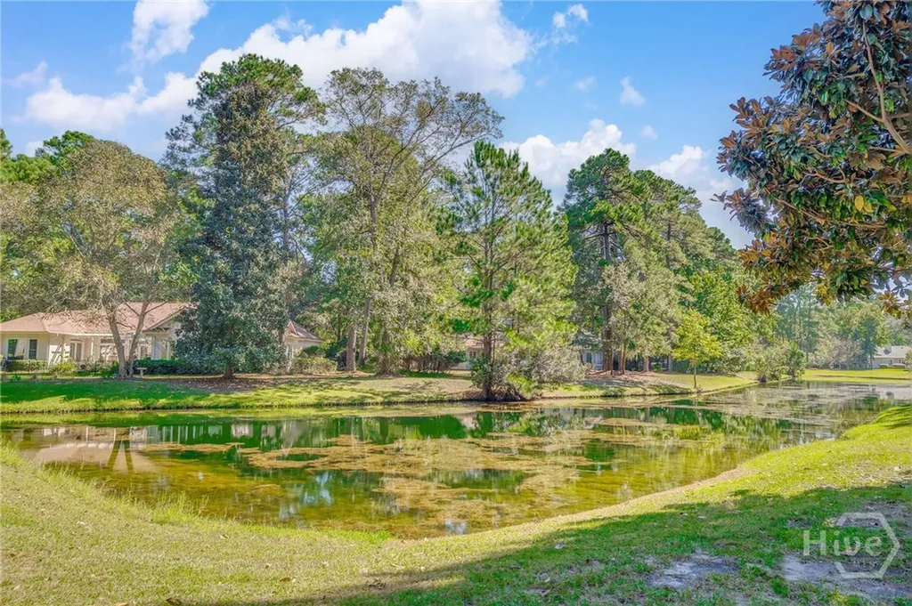 29 Black Hawk Trail Savannah GA 31411