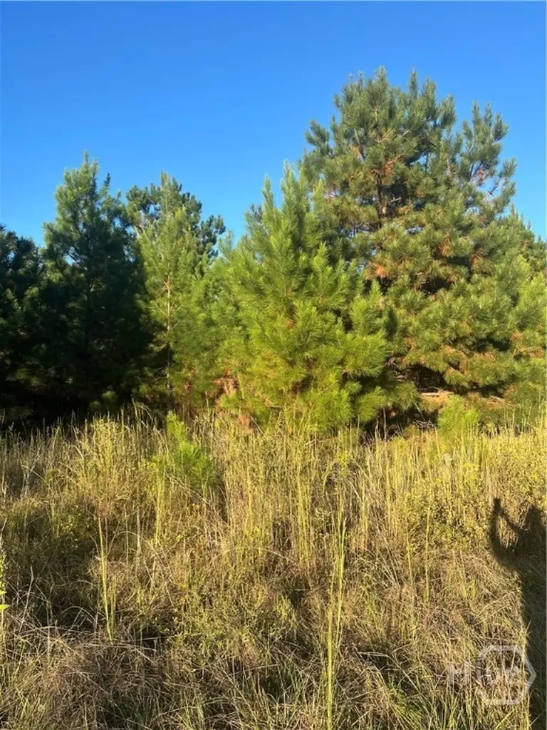 552 Sherrod Road Brooklet GA 30415
