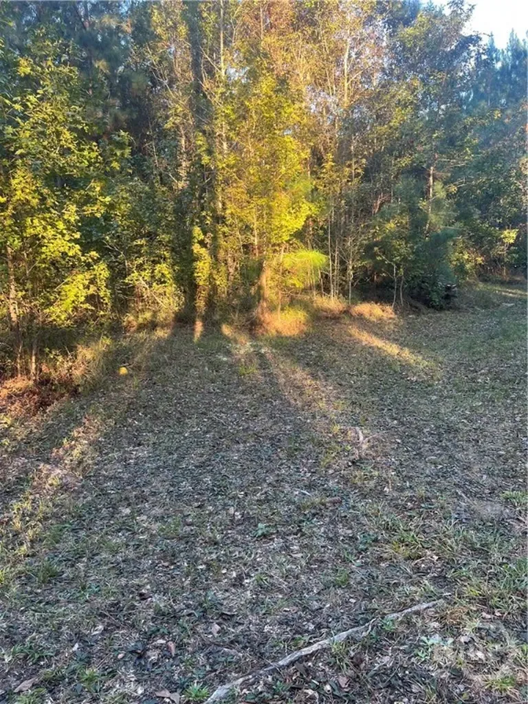 552 Sherrod Road Brooklet GA 30415