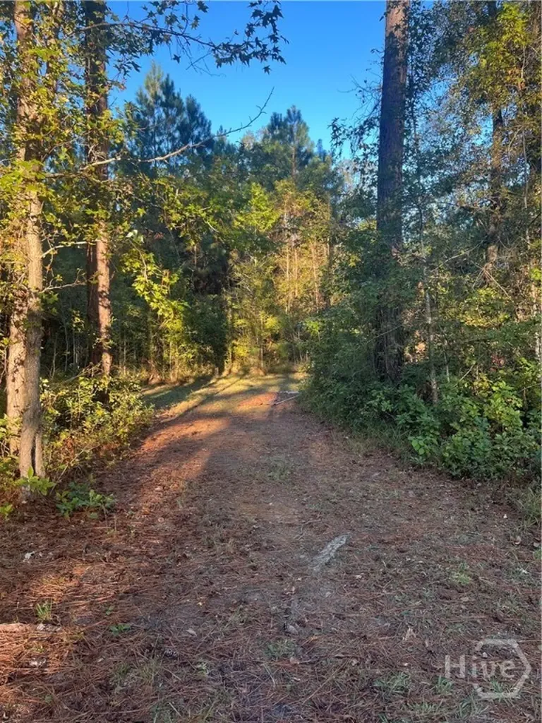 552 Sherrod Road Brooklet GA 30415